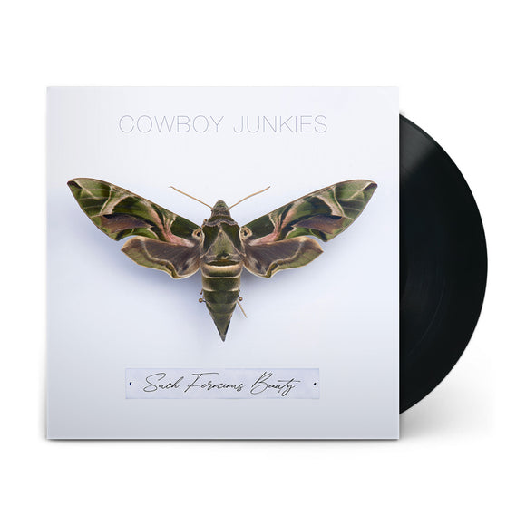 Such Ferocious Beauty LP