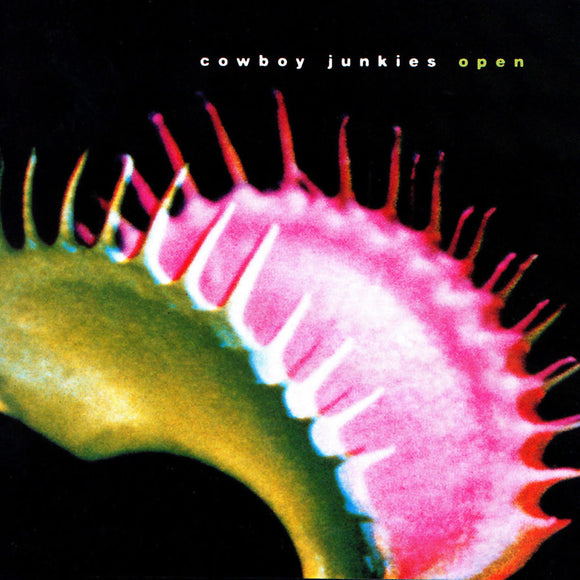 Open CD