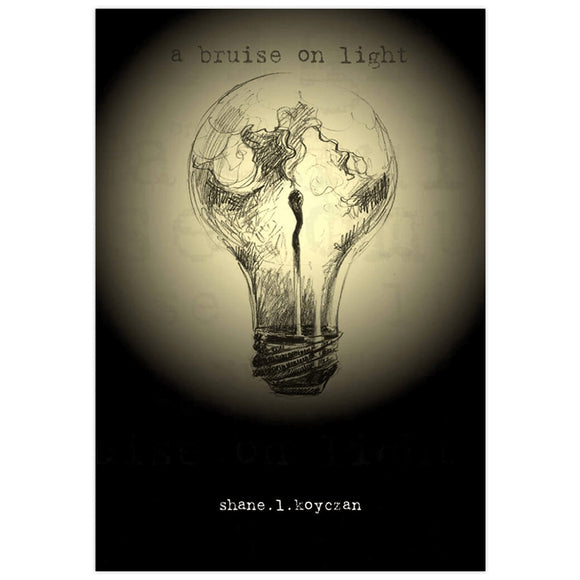 A Bruise On Light Book